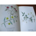 Signed copy. WILD FLOWERS OF THE NORTHERN CAPE / VELDBLOMME VAN NOORD-KAAPLAND