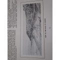 KNYSNA FOREST SCENERY - Ssketches by W.D. de Vignon van Alphen