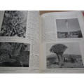 3 Volume Set. A HANDBOOK OF SUCCULENT PLANTS