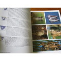 SASOL SOUTHERN AFRICAN BIRDS - A Photographic Guide