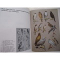 Peter Steyn. BIRDS OF PREY OF SOUTHERN AFRICA. Their Identification and Life Histories