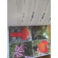 SIGNED. Field Guide to the Flora of GROOTBOS NATURE RESERVE and the WALKER BAY REGION