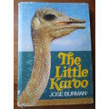 THE LITTLE KAROO  Jose Burman