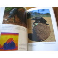 Dance of the Dung Beetles  Their role in our changing world. Marcus Byrne and Helen Lunn
