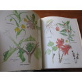 POISONOUS PLANTS IN SOUTH AFRICAN GARDENS AND PARKS  a field guide  Joan Munday