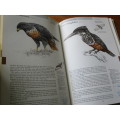 The Birds Around Us. Richard Liversidge. 876 Southern African Species