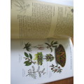 rees & Shrubs and Common Wild Flowers OKAVANGO DELTA - Medicinal Uses & Nutritional Value