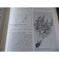 THE FERNS AND FERN ALLIES OF SOUTHERN AFRICA  JACOBSEN