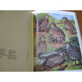 Gamebirds of Southern Africa  P.A. Clancey