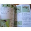 THE COLT BOOK ON FLYFISHING FOR WARM WATER SPECIES IN SOUTHERN AFRICA  BROOK AND FILTER