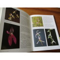 WILD ORCHIDS OF Southern Africa  Joyce Steward, H.P Linder, E.A. Schelpe, A.V. Hall