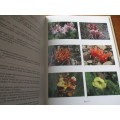 The Botany of the Southern Natal Drakensberg  Hillard and Burtt