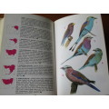 First Edition Signed Copy - NEWMAN`S BIRDS OF SOUTHERN AFRICA