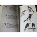 First Edition Signed Copy - NEWMAN`S BIRDS OF SOUTHERN AFRICA