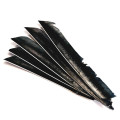 Full Length Goose Feathers for Arrow Fletching - Right Wing