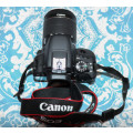 Canon 100D with 18-55mm EF-S lens