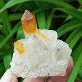 Golden Quartz, goethite smoky, Northern Cape, South Africa 79g 5 x 4.9 x 3.4cm Golden Healer crystal