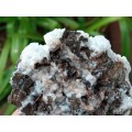 Aragonite Calcite 10.4cm druse white quartz CAVE STONE - Rand London Quarry, South Africa 146 grams