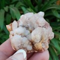Citrine witches` finger, Spirit quartz cluster - Boekenhouthoek, South Africa 60 grams
