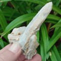 Spirit quartz witches` finger crystal, cactus quartz - Boekenhouthoek, South Africa 72 grams