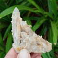 6.8cm Citrine witches finger, Spirit quartz cluster - Boekenhouthoek, South Africa 85 grams