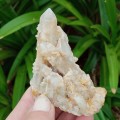 6.8cm Citrine witches finger, Spirit quartz cluster - Boekenhouthoek, South Africa 85 grams