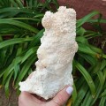 Large Aragonite, Parasol stalactite cavestone - Rand London Quarry, South Africa 1.46 kg
