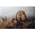 Lion Majesty - Wildlife Acrylic Painting on Canvas by Dr. Michael Durst