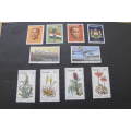 South Africa - Homelands - Transkei collection of early stamps MNH