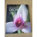 ANYONE CAN GROW ORCHIDS  by Nollie Cilliers and Tinus Oberholzer