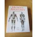 HUMAN ANATOMY FOR ARTISTS Text: Dr. György Fehér  Illustrations: András Szunyoghy