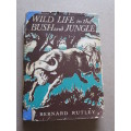 WILD LIFE IN THE BUSH AND JUNGLE  by C. Bernard Rutley (3 True wild life stories)