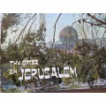 THY GATES OH JERUSALEM. Peter Merom. Text by Moshe Ben-Shaul.