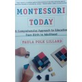 Paula Polk Lillard: Monterssori Today