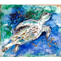 Framed Sea Turtle Hand Painted Water Colour Painting
