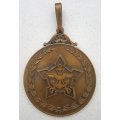 1973 SADF Medal