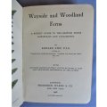 1908 Wayside and Woodland Ferns Pocket Guide