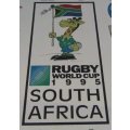 1995 Rugby World Cup Framed Wall Mirror