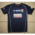 Titans 1 Day Cup Players Cricket Jersey