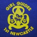 Collectable Girl Guides Insignia Shirt