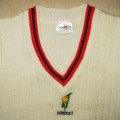 Old South Eastern Transvaal Cricket Jersey