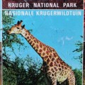 Old Kruger National Park Wildtuin Metal Bar Tray
