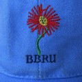 Blue Bulls Rugby Union Cap