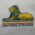 Old Gauteng Strikers Cricket Training Vest