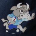 Old Bulls Rugby Cap
