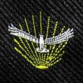 SAAF Airforce Gymnasium Neck Tie