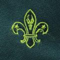 Old SA Boy Scouts Green Neck Tie
