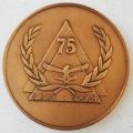 1995 SAAF 75 Year Anniversary Medal