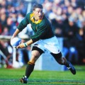 1995 World Cup - Hennie Le Roux - Rugby Hardboard Image