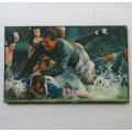 1995 World Cup - James Small - Springbok Rugby Hardboard Image